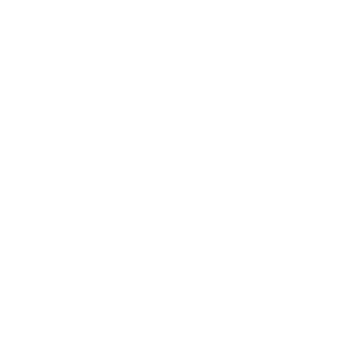 Nginx Proxy Manager