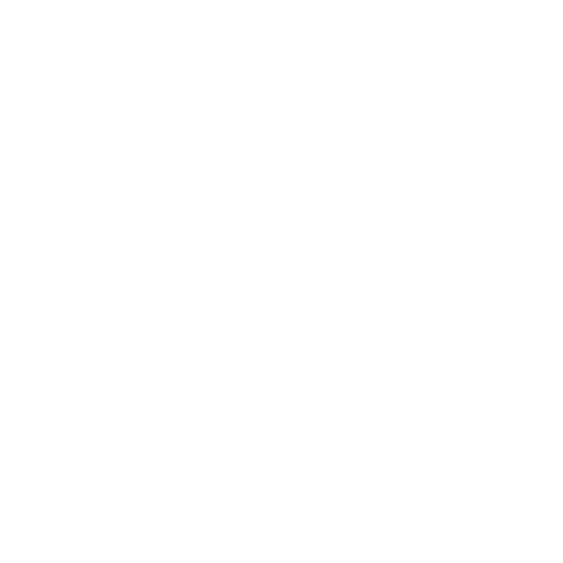 Bigcapital